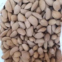 فروش بادام شیرین|خوردنی و آشامیدنی|شیراز, دوکوهک|دیوار