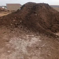 کود حیوانی گاوی گوسفندی