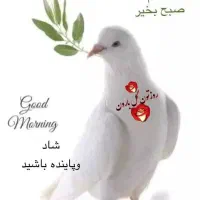 معلم خصوصی