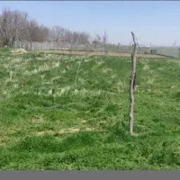 باغ