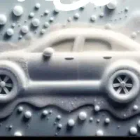 نیروی کار در کارواش با جای خواب