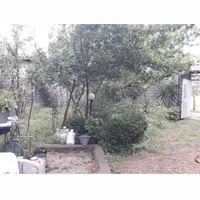 فروش زمین ۳۵۷ متری با بنا و امتیازات،خواجکین خمام|فروش زمین و ملک کلنگی|خمام, |دیوار