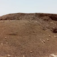 کود خشک و پوسیده گاوی،گوسفندی و خاک باغچه|خدمات باغبانی و درختکاری|کرج, کمالشهر|دیوار