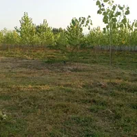 علف زنی  چمن زنی ..با دستگاه|خدمات باغبانی و درختکاری|سنگر, |دیوار