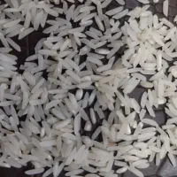 برنج هاشمی درجه یک به قیمت عمده ۳۰۰|خوردنی و آشامیدنی|پارس‌آباد, |دیوار