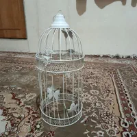 قفس گل و