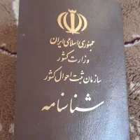 شناسنامه پیدا کردم