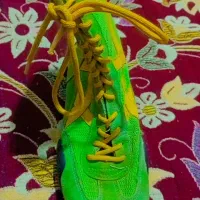 کفش کشتی|کیف، کفش، کمربند|مینودشت, |دیوار