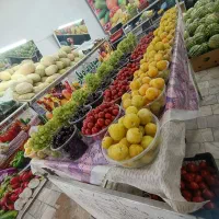 واگذاری میوه فروشی