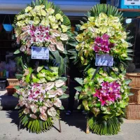 تاجگل نمایشگاه بین المللی