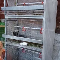 قفس مرغ تخمگذار