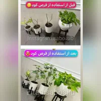 فروش قرص ارگانیک به قیمت کارخانه|خدمات باغبانی و درختکاری|اصفهان, خواجو|دیوار