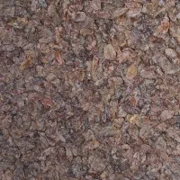 کشمش پولویی