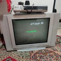 تلویزیون