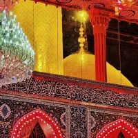 کربلا 20 دی ماه