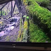 تلویزیون شارپ52اینچ