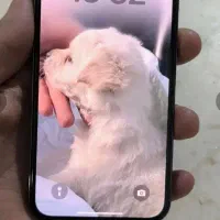 ایفون ۱۳پرومکس