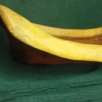 میوه خوری چوب کهور