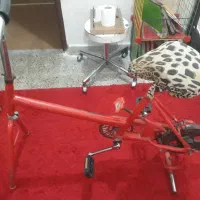 دوچرخه ثابت