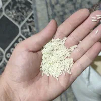 برنج محلی و چای نیم کیلوی فامیلا|خوردنی و آشامیدنی|بروجرد, |دیوار