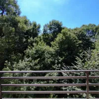 رزیدنس تک‌واحدی در پارک شهر/پلان مدرن و نور دلچسب|فروش آپارتمان|رشت, پارک شهر|دیوار