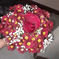 گل طبیعی|گل و گیاه طبیعی|تهران, ابوذر|دیوار