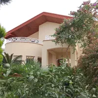 نیروی کار نقاشی