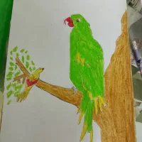 کار طراحی نقاشی|تابلو، نقاشی، عکس|گلستان (تهران), |دیوار