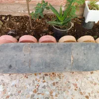 اسیکت برد|دوچرخه، اسکیت، اسکوتر|خرمآباد, |دیوار