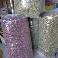 فروش تخمه|عمده‌فروشی|قروه, |دیوار