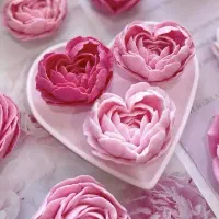 قالب سیلیکونی بیس سیلیکون قالبگیری یلدا ..|ابزارآلات|قم, پردیسان|دیوار