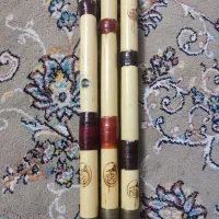 ساز نی|سازهای بادی|پیر بکران, |دیوار