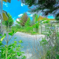 باغچه ویلانیم پیلوت جنگلی*330متر قیمت کاسبی|فروش خانه و ویلا|آلاشت, |دیوار