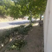 باغ بر خیابان