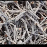 فروش هیزم درجه یک|خدمات باغبانی و درختکاری|ماهان, |دیوار