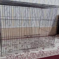 قفس|لوازم جانبی حیوانات|الوند, |دیوار