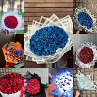 فروش انواع گل های جاودان