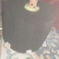 وسایل آکواریوم