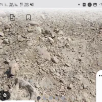 زمین ۳۱۲متر