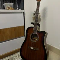 گیتار آکوستیک ماستیف