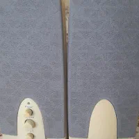 یک جفت اسپیکر جنیوس