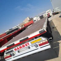 کفی ماموت شرکتی