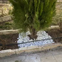 زمین برای مشاغل صنعتی و گلخانه