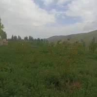 باغ|فروش دفتر صنعتی، کشاورزی، تجاری|تیکمه داش, |دیوار