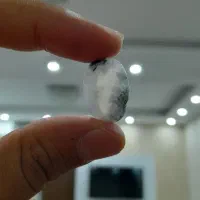 شجر برفی تراش خورده|جواهرات|سنندج, |دیوار