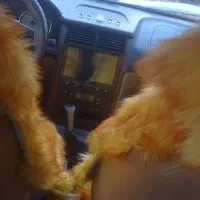 پژو پارس سفید مدل 1397|خودرو سواری و وانت|زابل, |دیوار