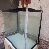 شیشه آکواریوم