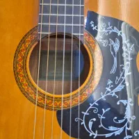 گیتار C40|گیتار، بیس، امپلیفایر|قم, باجک دو|دیوار