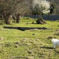 500 متر زمین. موقعیت استثنایی.شهر توریستی کلارآباد