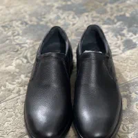 کفش جرم مجلسی